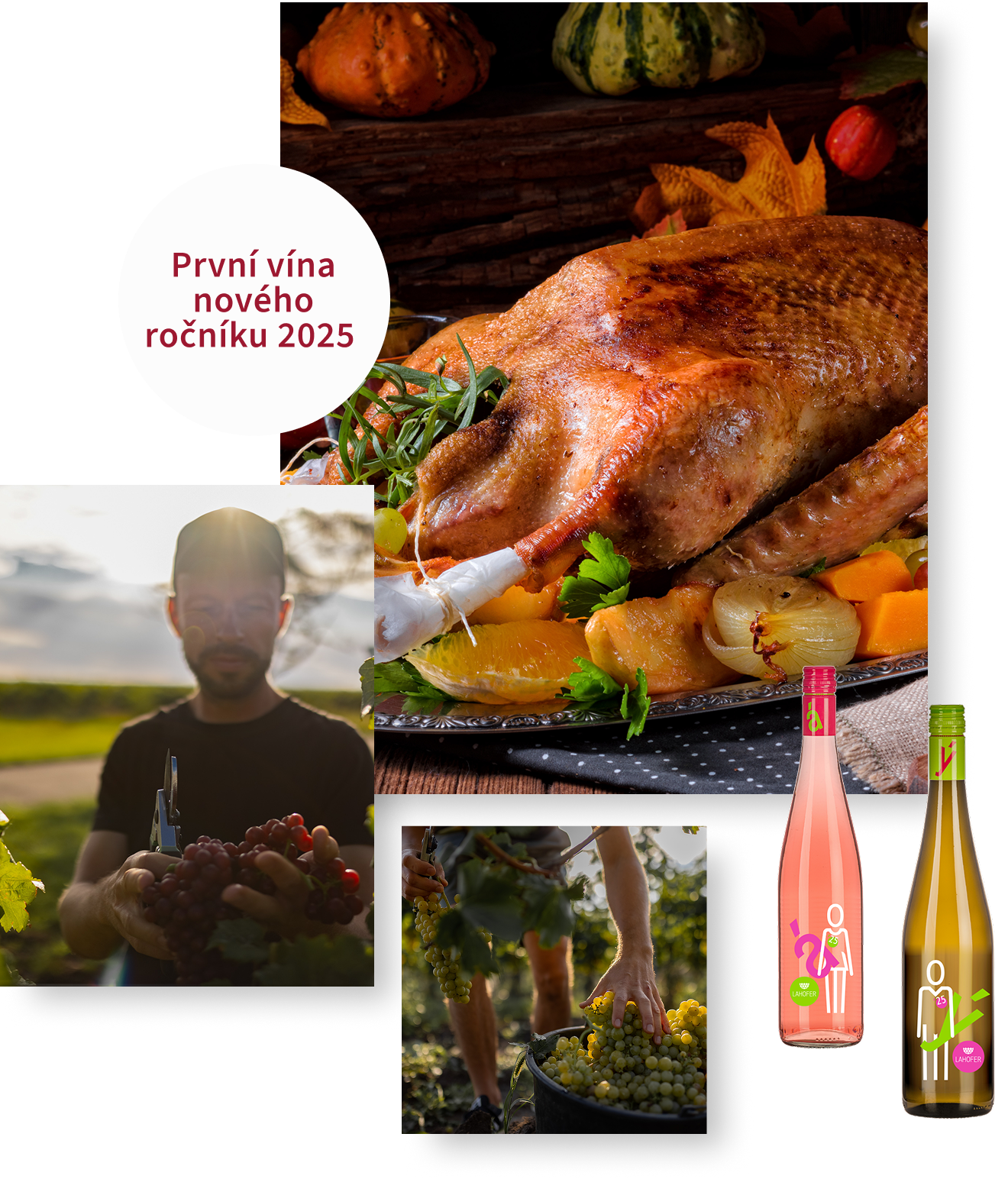 První vína nového ročníku 2024